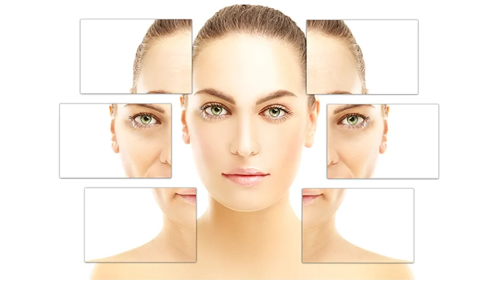 Anti-aging ingredients and nutrition for skin health