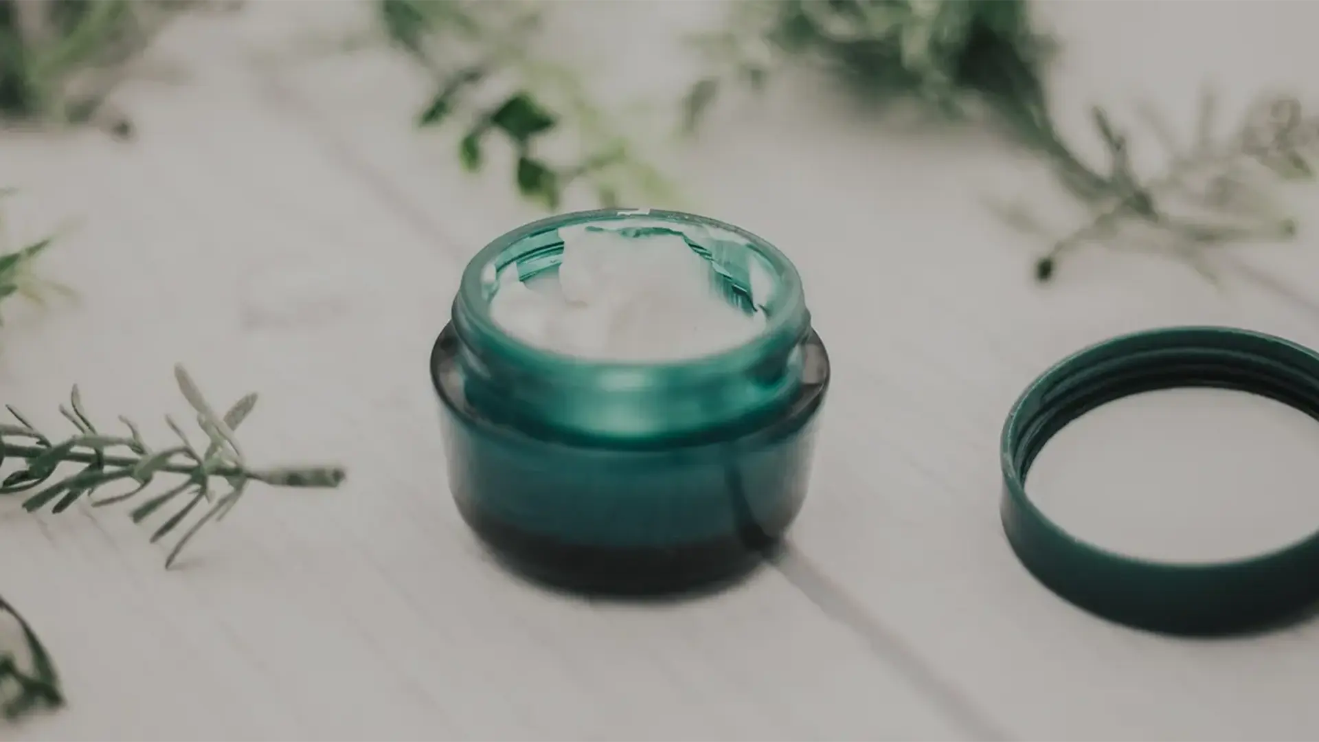 Effective Anti-Aging Ingredients