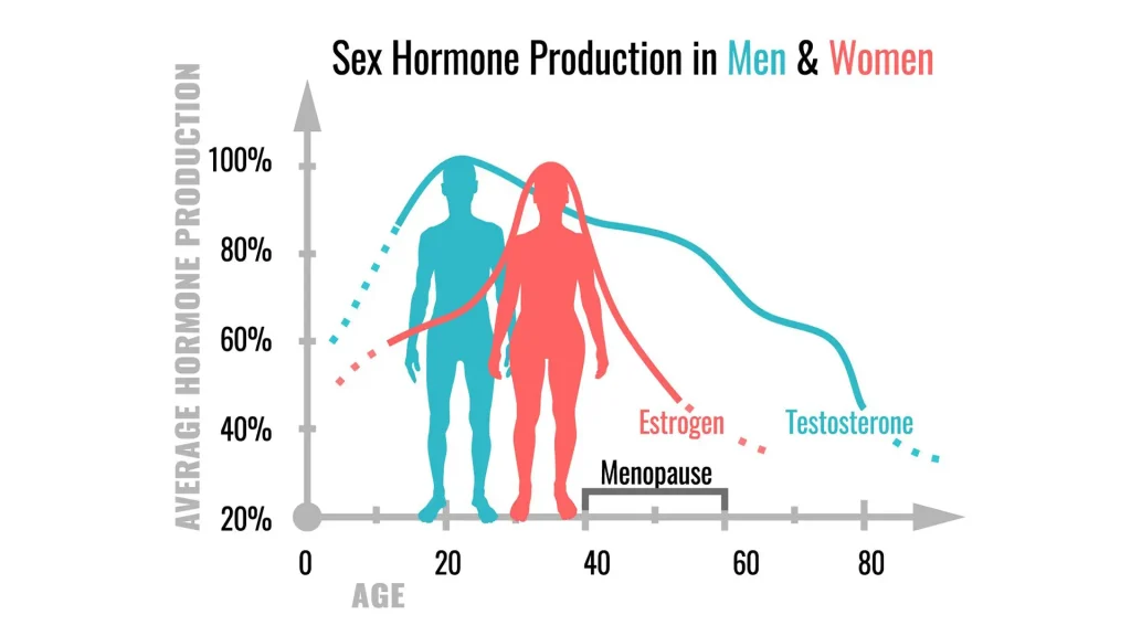 Testosterone Level by Age Chart