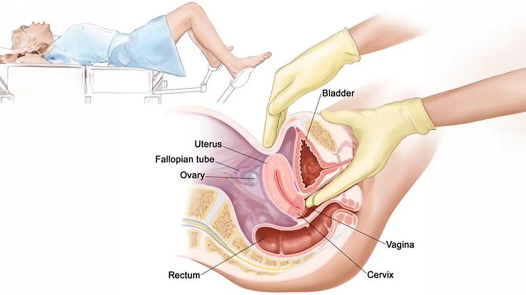 Understanding gynecology and women's health in Miami